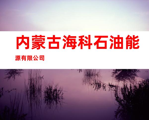 内蒙古海科石油能源有限公司