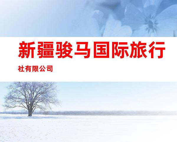 新疆骏马国际旅行社有限公司